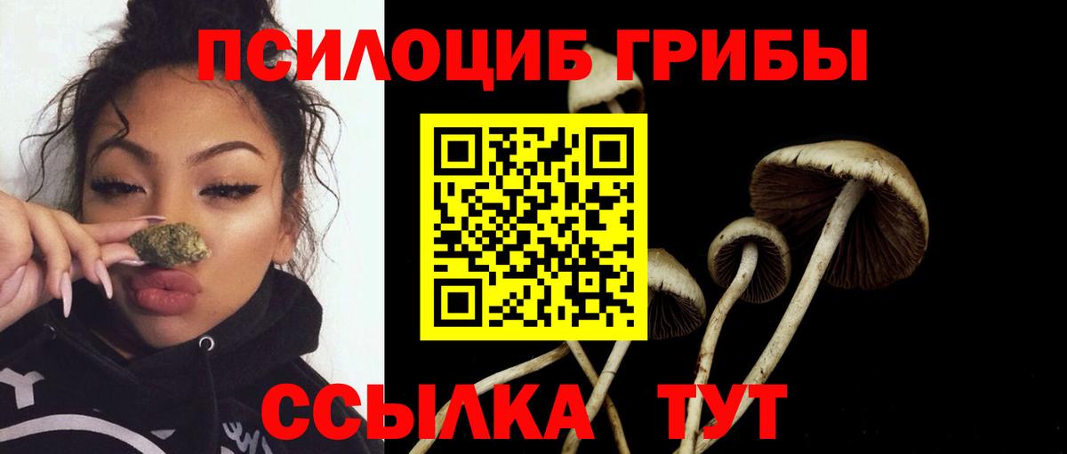 Галлюциногенные грибы MAGIC MUSHROOMS Тулун